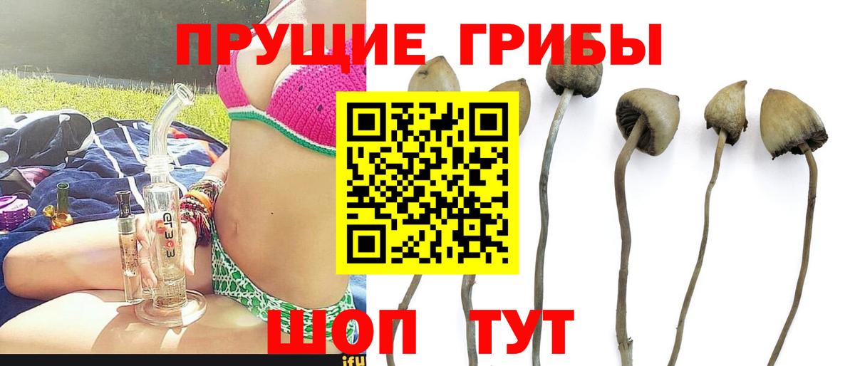 Галлюциногенные грибы мухоморы  Галлюциногенные грибы Psilocybe  Керчь  Вход с VPN 